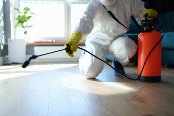 Reliable Odor Removal contractor in Cumberland Center, ME by Trauma Clean Pros